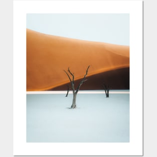 Deadvlei 2 Posters and Art